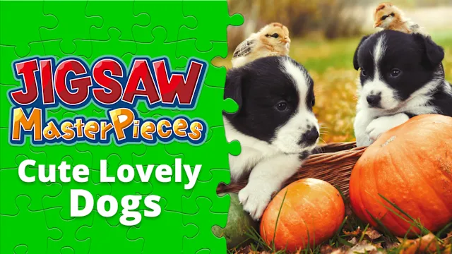 Cute Lovely Dogs