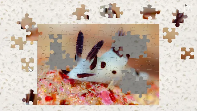 Sea Slugs  - Gems of the Sea - screenshot 2