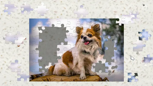 Chihuahua  - The Smallest Dog - screenshot 2