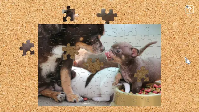 Chihuahua  - The Smallest Dog - screenshot 0