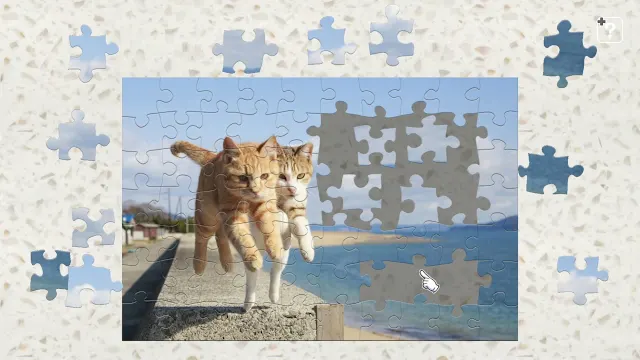 Jumping Cats / Kenta Igarashi screenshot 1