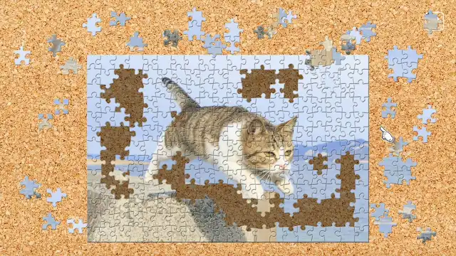 Jumping Cats / Kenta Igarashi screenshot 0