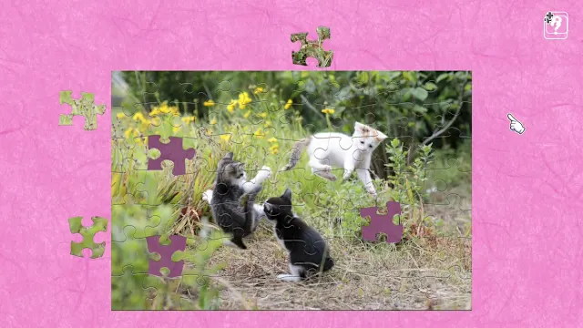 Jumping Cats / Kenta Igarashi screenshot 2