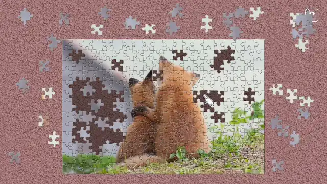 Fluffy Animals in Hokkaido / Kenta Igarashi screenshot 0