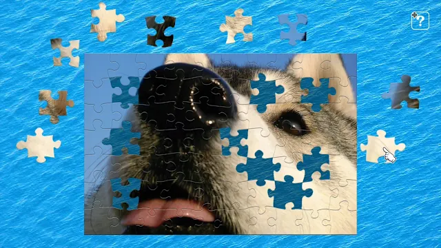 Pupipupi Bunta -Siberian Husky with a Peaceful Face- screenshot 1