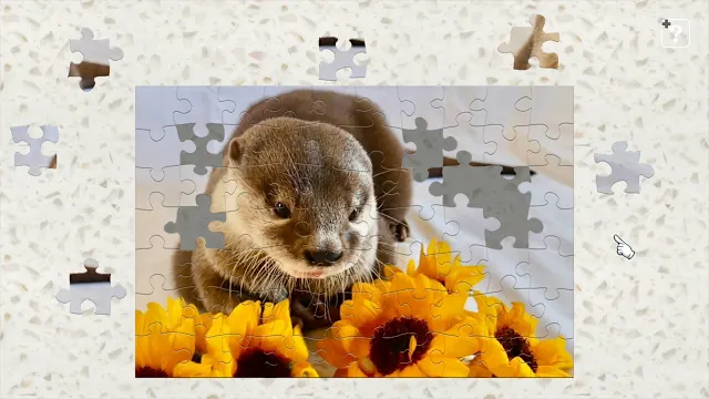 Little otter　Takechiyo＆Aoi screenshot 2
