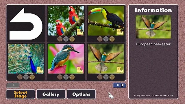 Colorful Birds screenshot 0