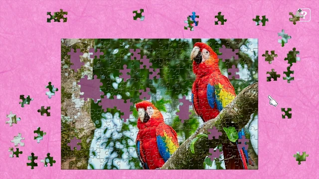 Colorful Birds screenshot 1