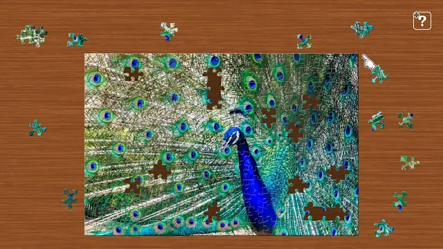 Colorful Birds screenshot 2