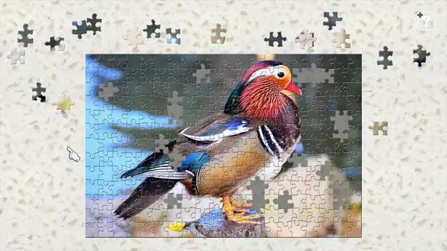 Colorful Birds screenshot 3