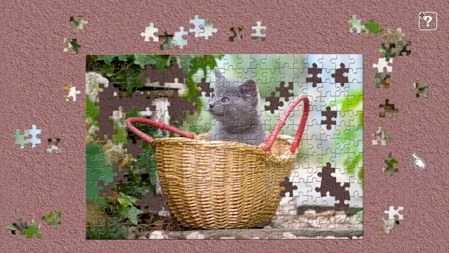 Little Kittens / Kenta Igarashi screenshot 1