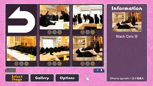 Black Cats in a Cat Welfare Cafe / Kenta Igarashi screenshot 0