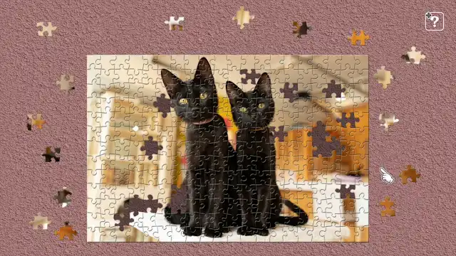 Black Cats in a Cat Welfare Cafe / Kenta Igarashi screenshot 3