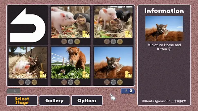 Cats and Friends on the Suetoshi Farm / Kenta Igarashi screenshot 0