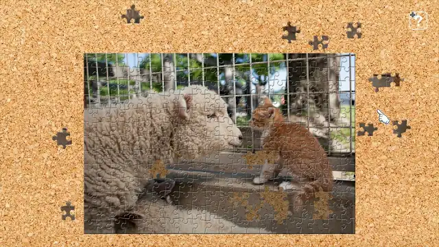 Cats and Friends on the Suetoshi Farm / Kenta Igarashi screenshot 4