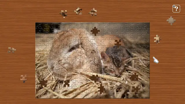 Cats and Friends on the Suetoshi Farm / Kenta Igarashi screenshot 3