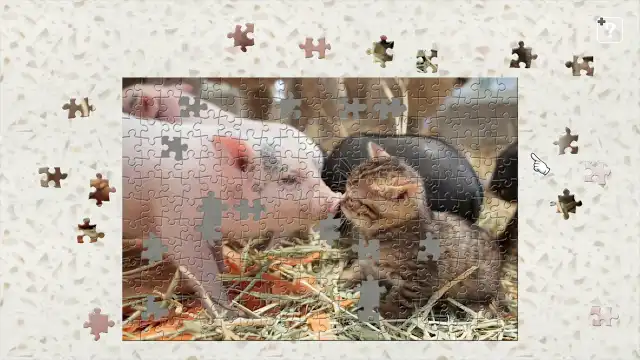 Cats and Friends on the Suetoshi Farm / Kenta Igarashi screenshot 1