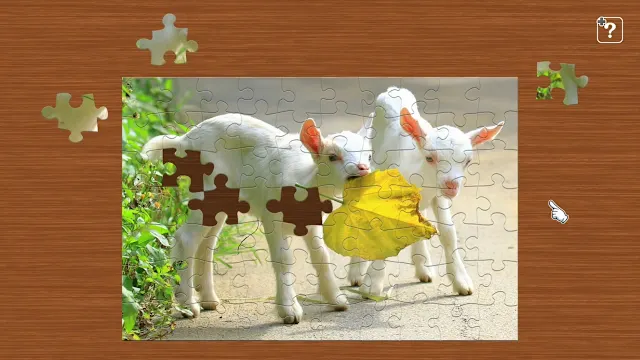 Baby Animals screenshot 3