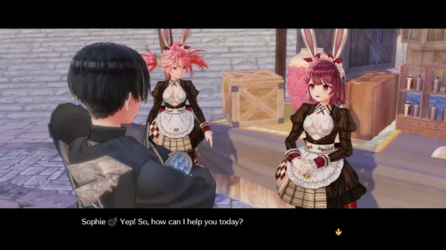 Sophie/Plachta/Ramizel/Alette's Costume "Bunny-Eared Salesgirl" screenshot 1