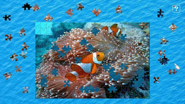 Underwater Photography screenshot 0