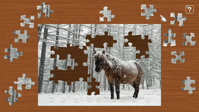 Scenes with Horses screenshot 2