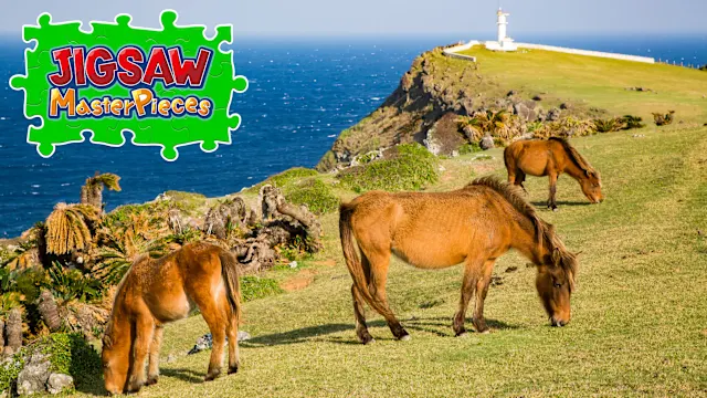 Scenes with Horses