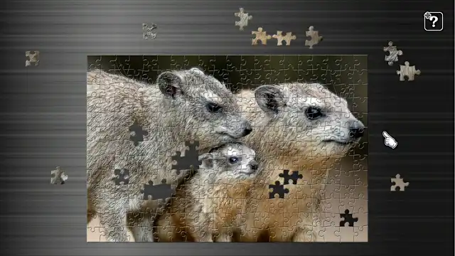 Animal Families screenshot 0