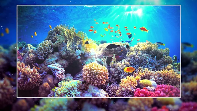 Puzzle Galaxy: Animal Album - 54 new puzzles screenshot 4