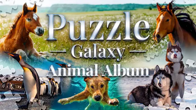 Puzzle Galaxy: Animal Album - 54 new puzzles