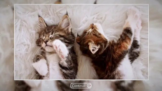 Puzzle Galaxy: Animal Album - 54 new puzzles screenshot 1