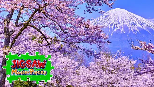 Seasonal Flowers in Japan