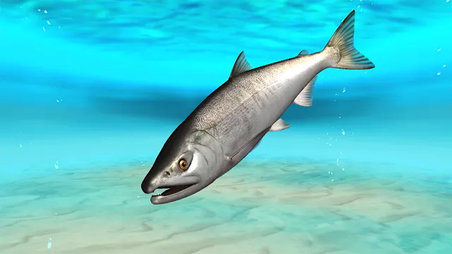 Ace Angler: Fishing Spirits Big Game Summoning Set screenshot 2