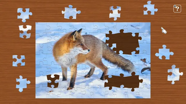 Animals in Snow screenshot 0