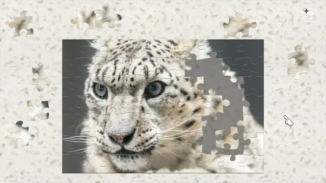 Big Cat Friends screenshot 2