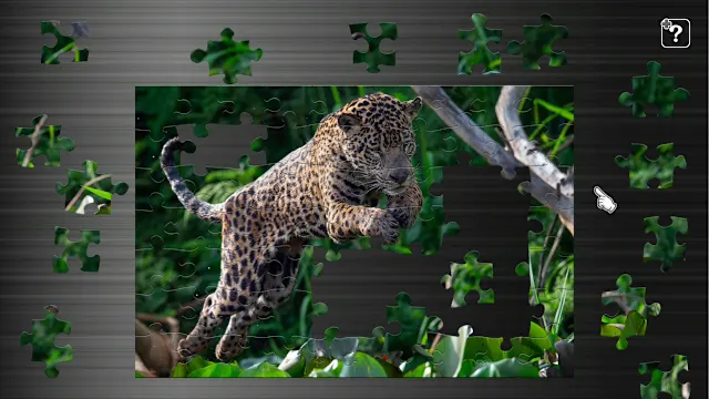 Big Cat Friends screenshot 1