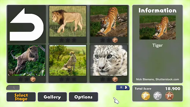 Big Cat Friends screenshot 3