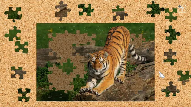 Big Cat Friends screenshot 0