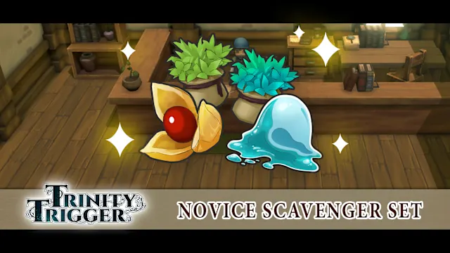 Novice Scavenger Set