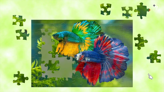 Colorful Fish screenshot 1