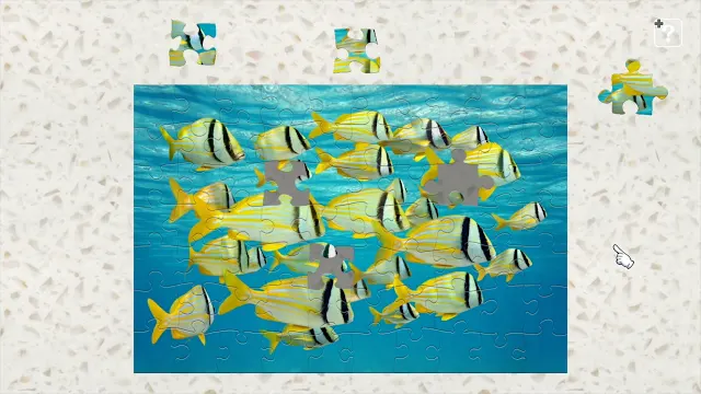 Colorful Fish screenshot 2