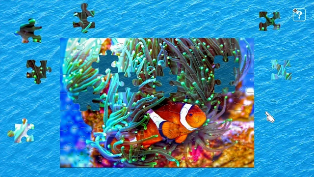 Colorful Fish screenshot 0