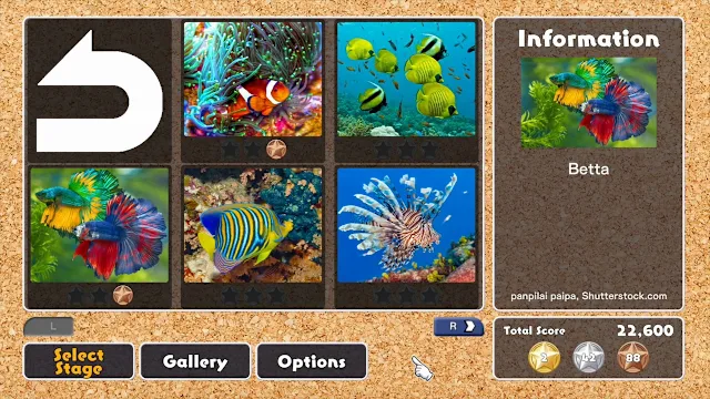 Colorful Fish screenshot 3