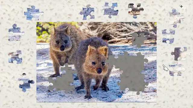 Australia's Native Wildlife screenshot 2