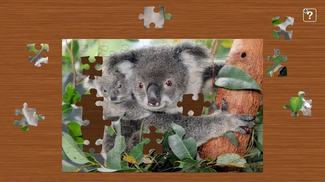 Australia's Native Wildlife screenshot 0