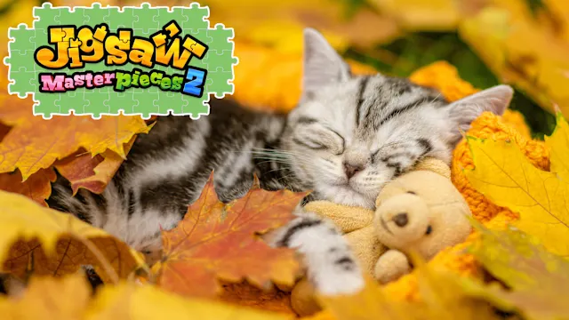 Sweet Kittens