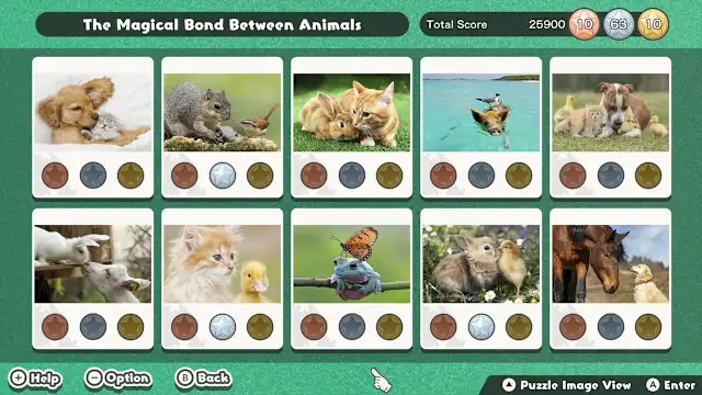 The Magical Bond Between Animals screenshot 3