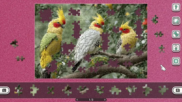 Birds in Vibrant Colors screenshot 0