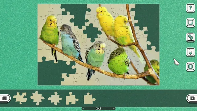 Birds in Vibrant Colors screenshot 2