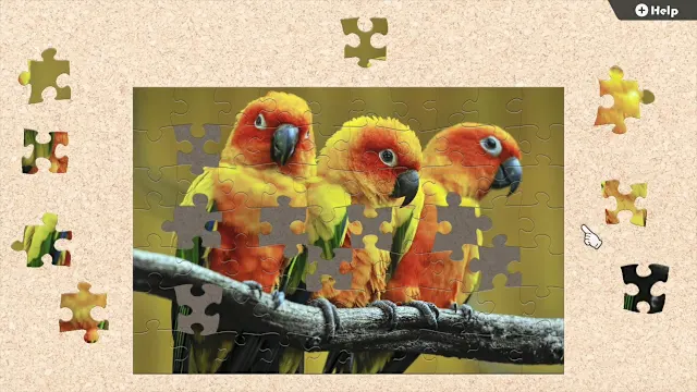 Birds in Vibrant Colors screenshot 1