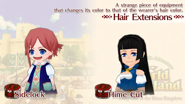 Hair Extensions